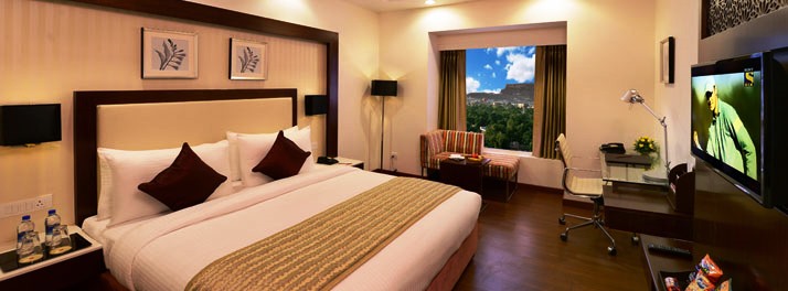 1461/Lords Inn - Jodhpur 08.jpg